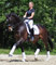 Feiner Wind